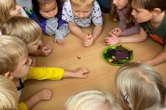 IMG-20211014-WA0000